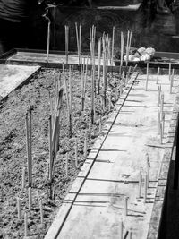 Railroad tracks by trees