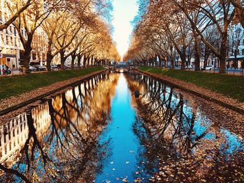 Canal amidst bare trees against sky