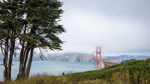 View of suspension bridge over bay