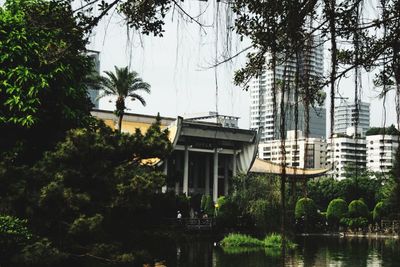 Reflection of trees and buildings in lake