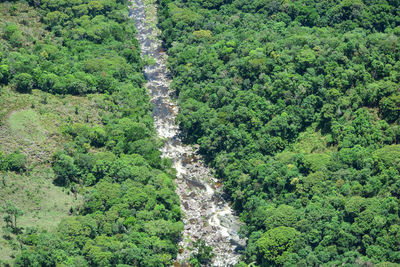 High angle view of waterfall amidst trees in forest