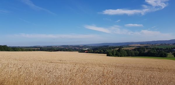 Scenic view of agricultural field against sky