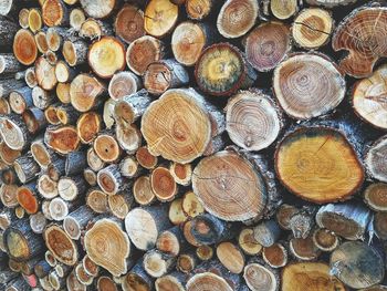 Full frame shot of logs in forest