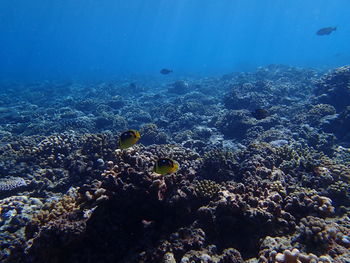 Scenic view of blue sky