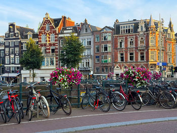 Bicycles on street