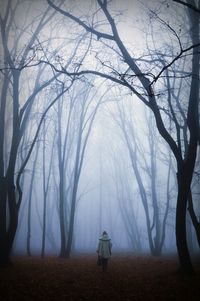 Rear view of woman standing amidst trees in park during foggy weather