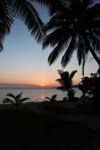 Silhouette palm trees on beach against sky during sunset