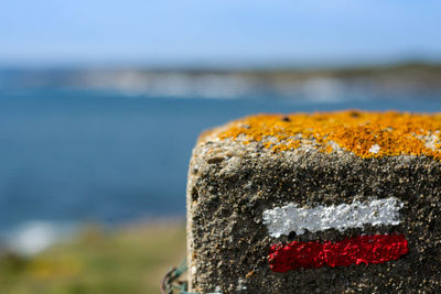 Close-up of rock on beach