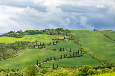 Scenic view of agricultural field against sky