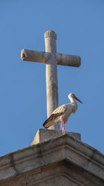 Low angle view of stork against clear blue sky