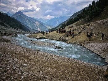 People at riverbank against trees in forest