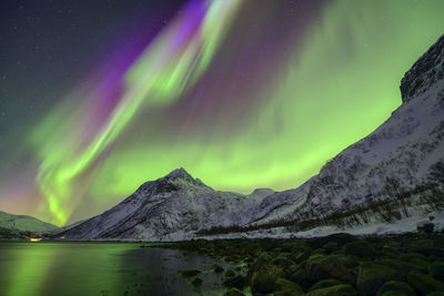 Norway, troms og finnmark, green northern lights over mefjord