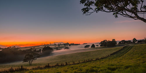 Scenic view of agricultural field against clear sky during sunset