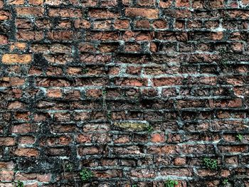 Full frame shot of brick wall