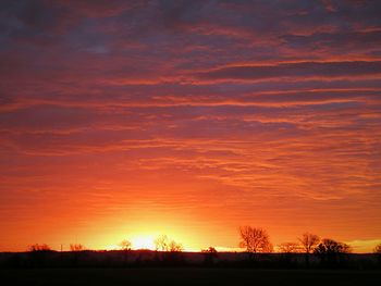 Silhouette trees on field against orange sky