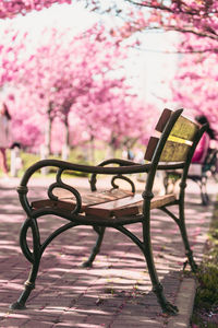 Empty bench in park