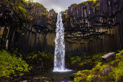 Scenic view of waterfall in forest