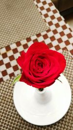 Directly above shot of roses in vase