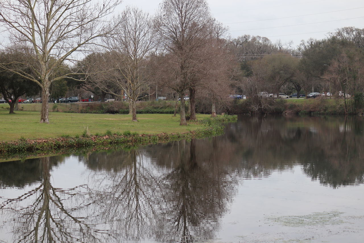 SCENIC VIEW OF LAKE AND TREES IN PARK