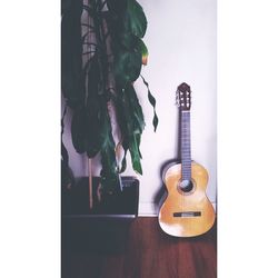 Close-up of guitar at home