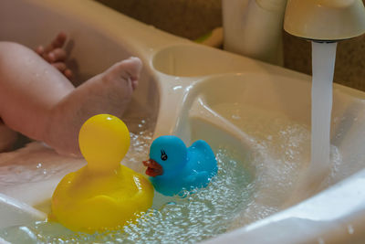 Low section of baby with rubber ducks in bathtub