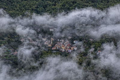 High angle view of trees on landscape