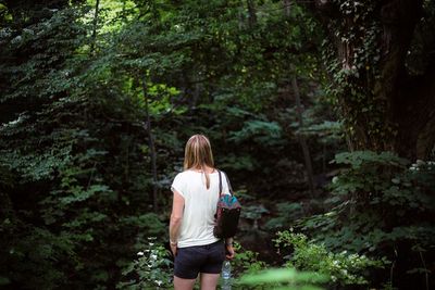 Rear view of woman standing amidst trees at forest