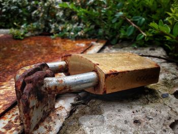 Close-up of rusty metal on field