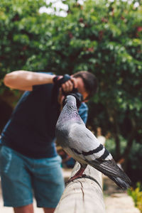 Man photographing pigeon perching on wood