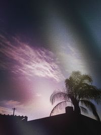 Low angle view of silhouette tree against sky at night