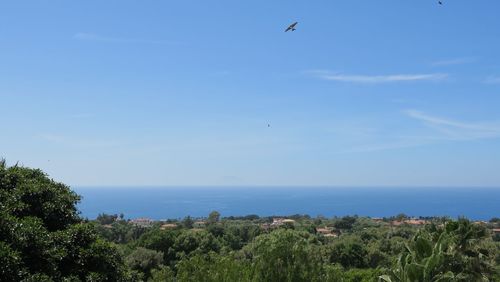 Scenic view of sea against blue sky