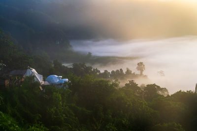 Scenic view of forest against sky