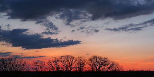 Silhouette trees on landscape against sky at sunset