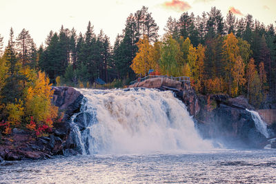 Scenic view of waterfall in forest during autumn