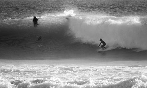 Friends surfing in sea