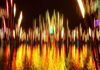 Colorful plants at night