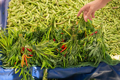 Close-up of hand holding vegetables at market