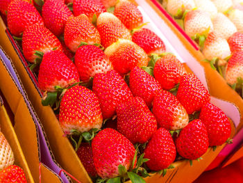 High angle view of strawberries in box