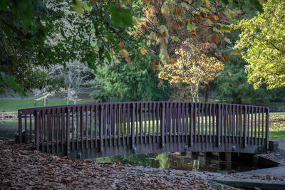 View of trees by water