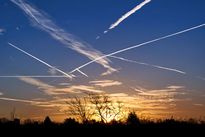 Low angle view of silhouette trees against sky at sunset