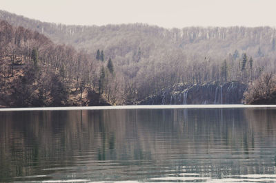 Scenic view of lake in forest