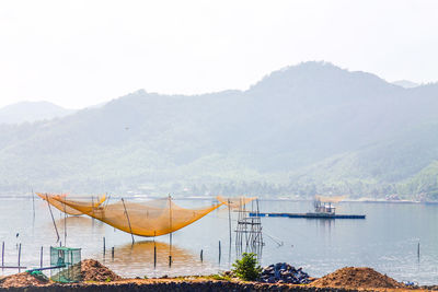 Early morning in the fishing village of quy nhon, vietnam