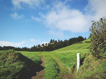 Scenic view of field against sky