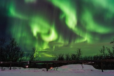 Scenic view of snow covered trees against sky at night