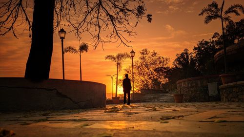 Silhouette people standing by tree against orange sky