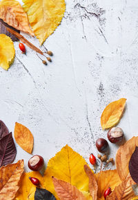 Directly above shot of orange leaves on table