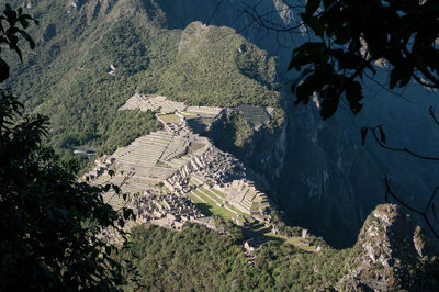 High angle view of trees on landscape