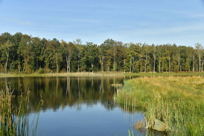 Scenic view of lake by trees against sky