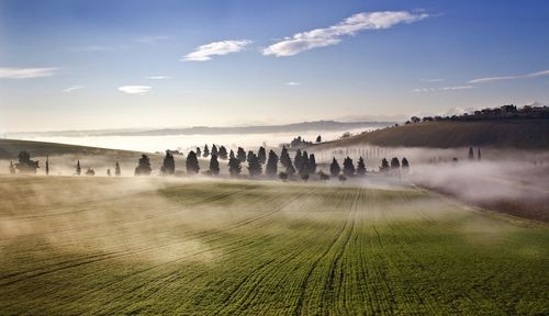 Fog over agricultural field