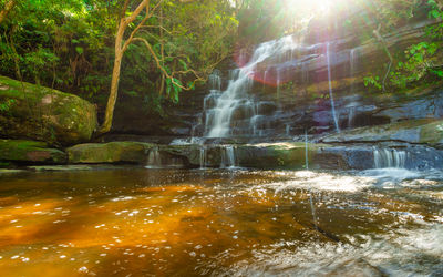 Scenic view of waterfall in forest